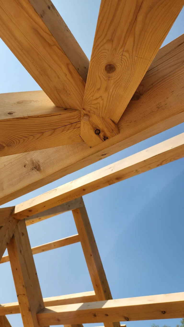 Timber frame rafter and brace joinery viewed from below